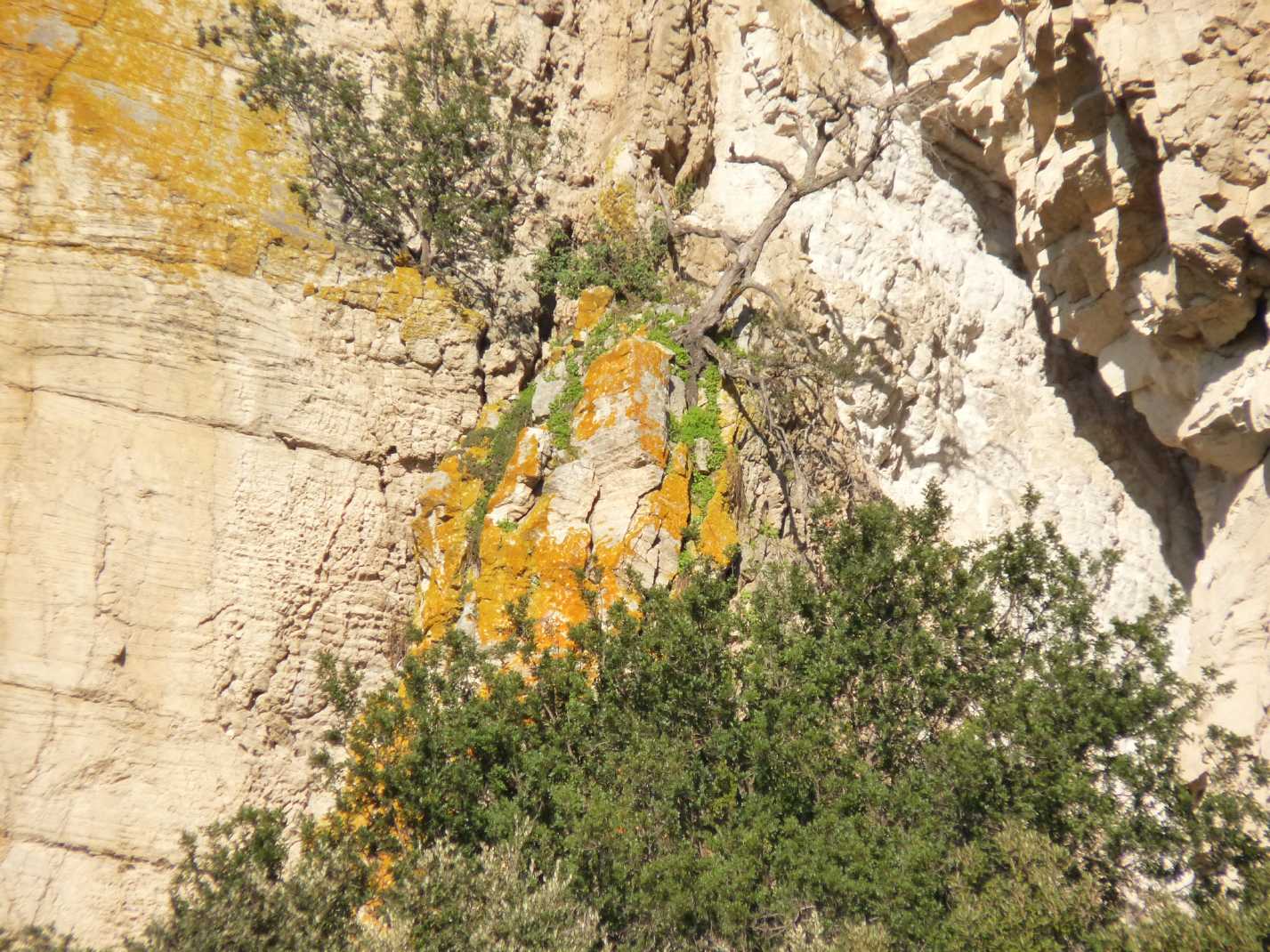 Incontro di Natura Mediterraneo a Roma (FOTO e VIDEO)